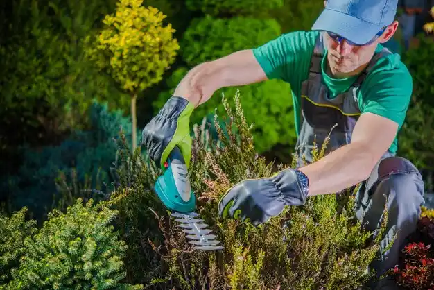 landscaping services Deerfield